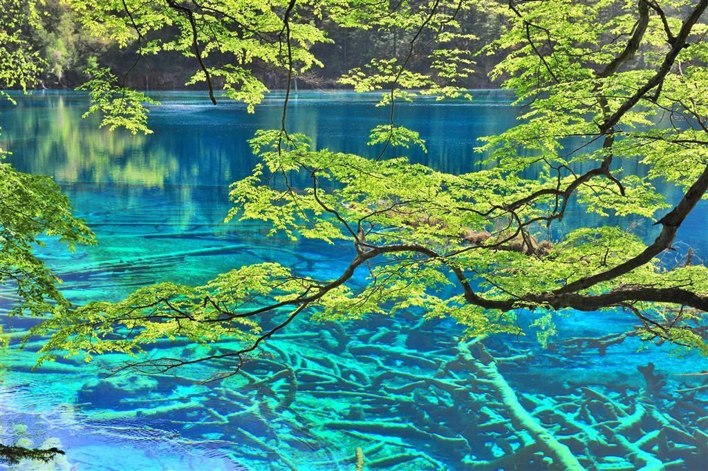 Sheraton Jiuzhaigou Resort Einrichtungen foto